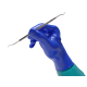 DENTAL FORMULA MULTICOLOR DENTAL FORMULA MULTICOLOR